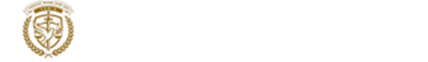 light logo